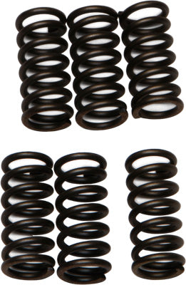 EBC CLUTCH SPRINGS PART# CSK2 NEW