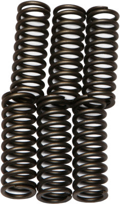 EBC CLUTCH SPRINGS PART# CSK62 NEW