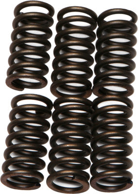 EBC Brakes EBC CLUTCH SPRING KIT # CSK81 NEW