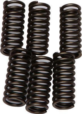 EBC CLUTCH SPRINGS PART# CSK102 NEW