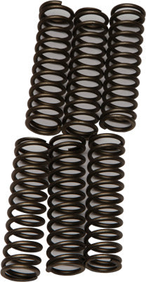 EBC CLUTCH SPRINGS PART# CSK109 NEW