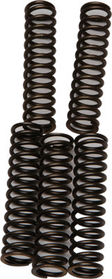 EBC CLUTCH SPRINGS PART# CSK110 NEW