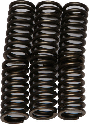EBC Brakes EBC CLUTCH SPRING KIT # CSK11 NEW