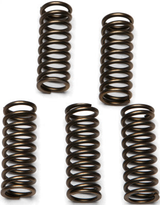 EBC Brakes EBC CSK SPRING CLUTCH KIT # CSK111 NEW