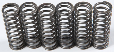 EBC CLUTCH SPRINGS PART# CSK119 NEW