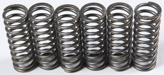 EBC CLUTCH SPRINGS PART# CSK119 NEW