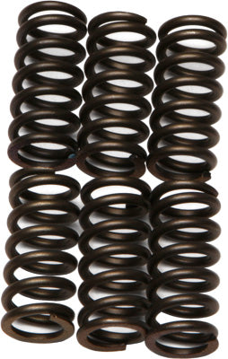 Pro Circuit Racing P/C CLUTCH SPRINGS KX250F '04-16 # CSK10250-CS NEW