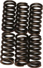 Pro Circuit Racing P/C CLUTCH SPRINGS KX250F '04-16 # CSK10250-CS NEW