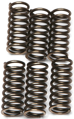 EBC CLUTCH SPRINGS PART# CSK120 NEW