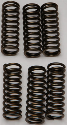 EBC CLUTCH SPRINGS PART# CSK145 NEW