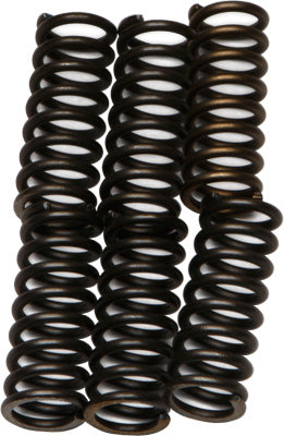 EBC Brakes EBC CLUTCH SPRING KIT # CSK137 NEW