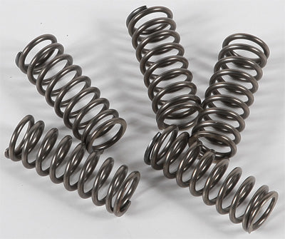 EBC Brakes CSK150 CLUTCH SPRING KIT # CSK150 NEW