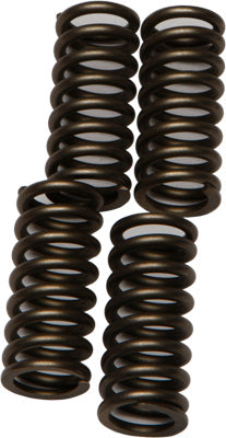 EBC CLUTCH SPRINGS PART# CSK174 NEW