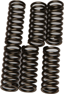 EBC CLUTCH SPRINGS PART# CSK196 NEW