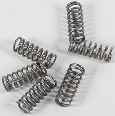 EBC CLUTCH SPRING KIT PART# CSK198 NEW
