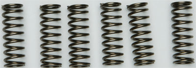 EBC CLUTCH SPRING KIT PART# CSK205 NEW