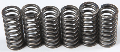 EBC CLUTCH SPRINGS CSK210