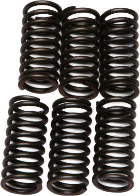 EBC CLUTCH SPRINGS PART# CSK24 NEW