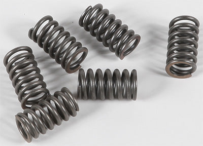 EBC Brakes EBC CLUTCH SPRING KIT # CSK30 NEW