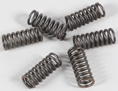 EBC Brakes EBC CLUTCH SPRING KIT # CSK32 NEW