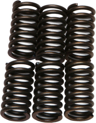EBC CLUTCH SPRINGS PART# CSK41 NEW