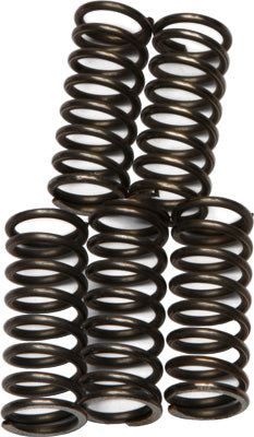 EBC CLUTCH SPRINGS PART# CSK66 NEW