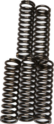 EBC CLUTCH SPRINGS PART# CSK67 NEW