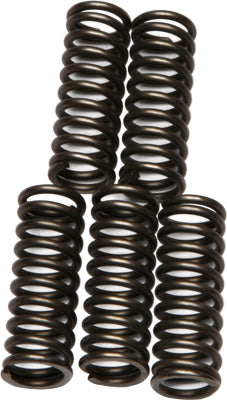 EBC CLUTCH SPRINGS PART# CSK73 NEW