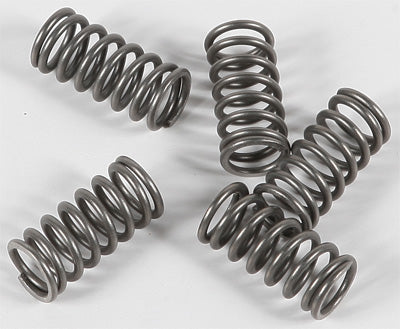 EBC Brakes EBC CLUTCH SPRING KIT # CSK73 NEW