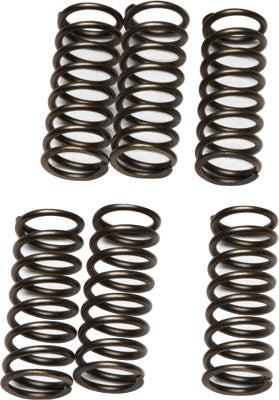 EBC Brakes EBC CLUTCH SPRING KIT # CSK77 NEW
