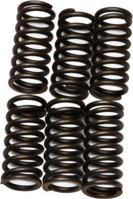 EBC CLUTCH SPRINGS PART# CSK80 NEW