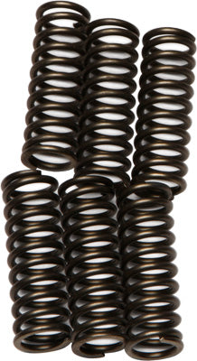 EBC Brakes EBC CLUTCH SPRING KIT # CSK91 NEW