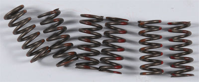 KG 1980-1982 Yamaha TZ250 HIGH PERFORMANCE SPRING SET KGS-002