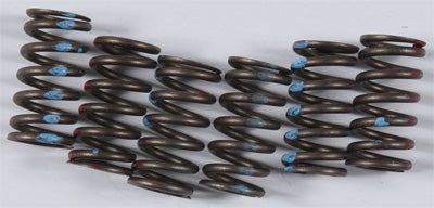 KG 1981-1982 Honda GL500 Silver Wing HIGH PERFORMANCE SPRING SET KGS-028