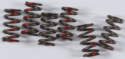 KG 1977-1980 Kawasaki KZ650B/F HIGH PERFORMANCE SPRING SET KGS-030