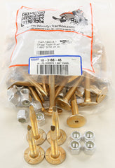 WOODYS CAP-1860-S CHISEL TOOTH T.M STUD 1860 X 5 16 48