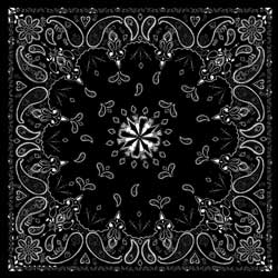 ZAN BANDANNA BLACK PAISLEY PART# B001