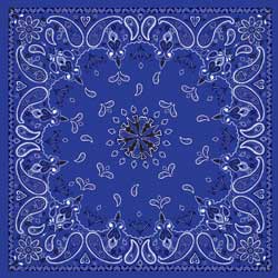 ZAN BANDANNA NAVY PAISLEY PART# B002