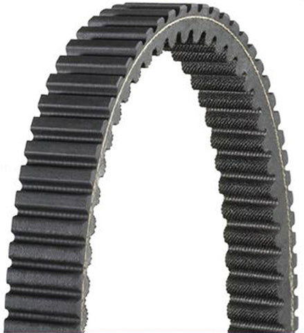 DAYCO XTX2236 XTX EXTREME TORQUE DRIVEBELTS