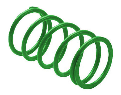 EPI ERLANDSON CLUTCH SPRING DARKGREEN DRS24