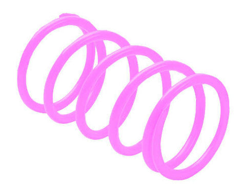 EPI ERLANDSON CLUTCH SPRING PINK PATV8
