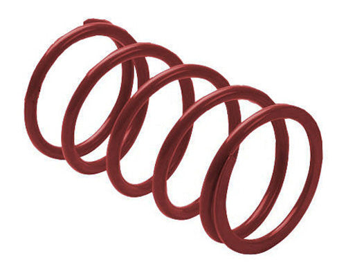 EPI PEBS4 ERLANDSON CLUTCH SPRING MAROON