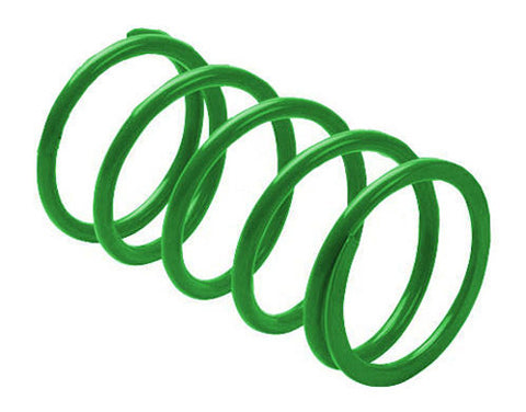EPI ERLANDSON CLUTCH SPRING GREEN YDS4