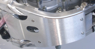 WORKS SKID PLATE 10-218