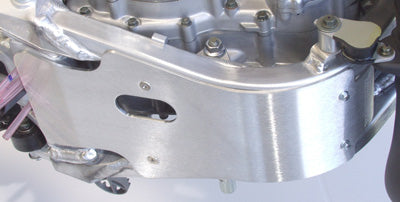 WORKS SKID PLATE 10-245