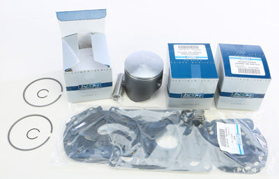 WSM 010-824-12P 1300 .50MM PLATINUM REBUILD KIT