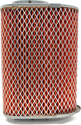 EMGO AIR FILTER 12-90310