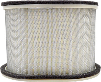EMGO AIR FILTER 12-94460