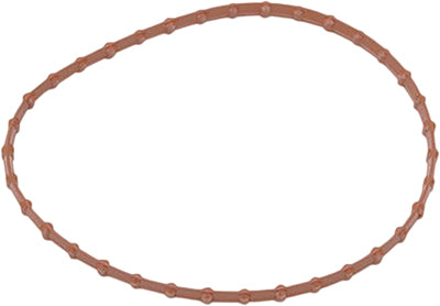 HARDDRIVE FUEL PUMP DOOR GASKET 22253