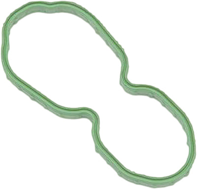 HARDDRIVE FUEL PUMP DOOR GASKET 22254